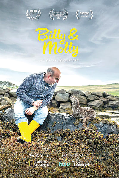 சர்வதேச திரைப்பட விழா